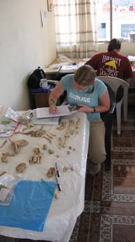 Susan is sitting at a table with a white table cloth on it. There are bones on it. She has a clipboard that she's looking at and writing on it. She is wearing a blue t shirt and khaki pants. Her hair is two blonde braids. Samantha is behind her with her back to the camera. She is wearing a red shirt with white lettering on it.