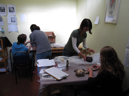 There are two tables in a hallway. AT the first table, Emily and Tiffiny are looking at two different skulls that are on the table. One of them has a piece of packing paper under it. There are clipboards with paper as well as other various pieces of paper on the table. Emily is wearing a black jacket and her light brown hair is shoulder length. She is sitting closer to the camera and her back is to it. Standing on the other side, Tiffiny is wearing a long sleeved white shirt, a green tshirt, and jeans. She has chin length brown hair. At the next table, Alysha and someone else are looking at something Alysha is holding. There us a box and clear plastic bags on their table. Alysha is wearing a blue hoodie and glasses. Her brown hair is pulled back. The other person is wearing a gray jacket and jeans. Their brown hair is in a bun. There are various printouts on the yellow walls and a painting.